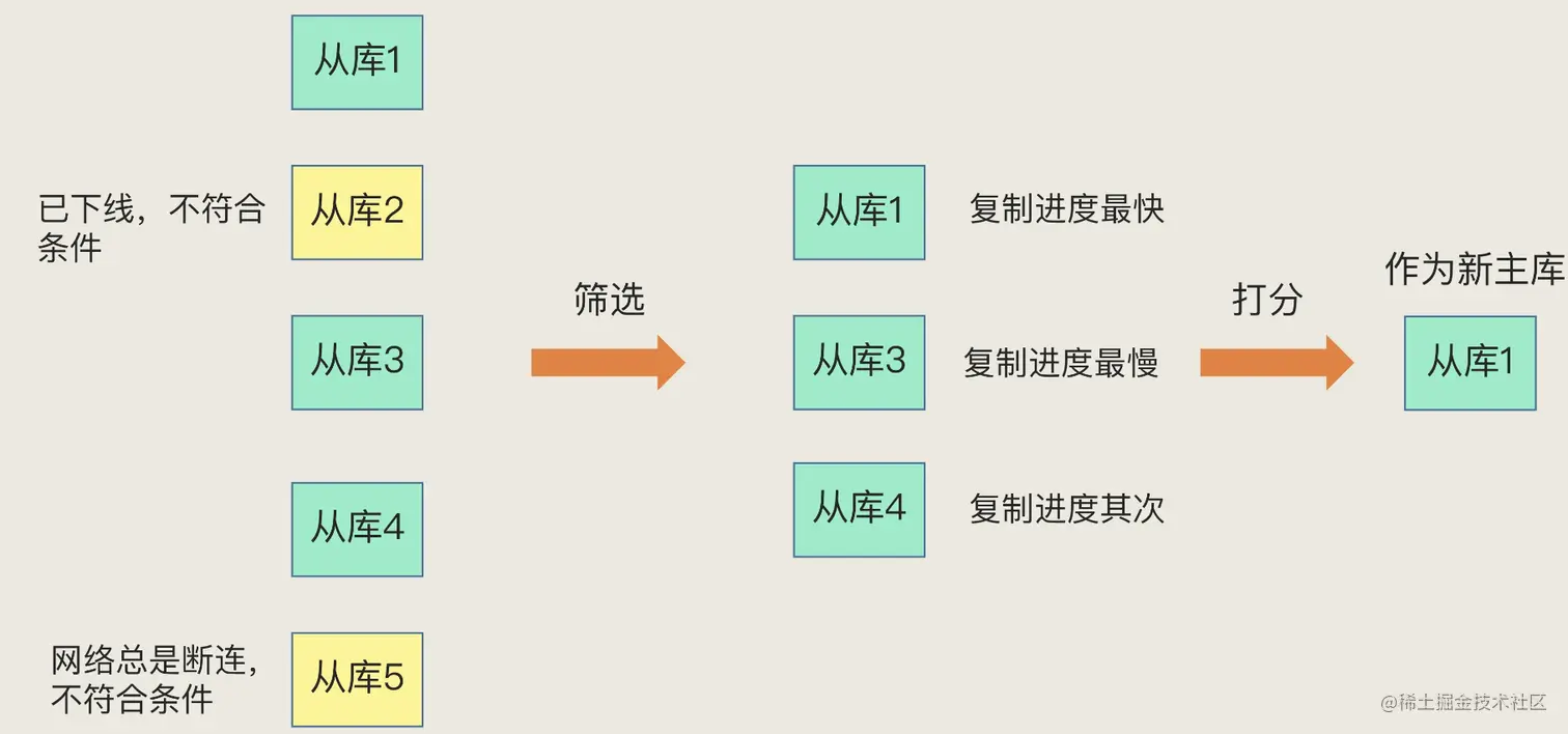 选主.png
