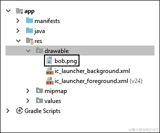 将 Bob 图形添加到项目中