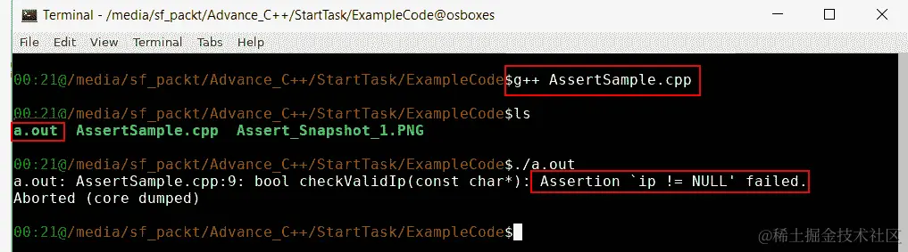 图 7.1：在命令提示符上运行断言二进制文件