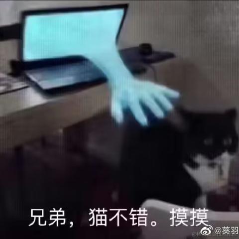 乃琳我最近压力好大于2023-06-30 18:11发布的图片