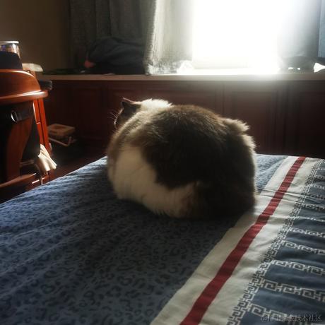 Firmament于2022-11-29 11:26发布的图片