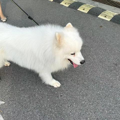 那我关月亮咯于2023-06-12 13:55发布的图片