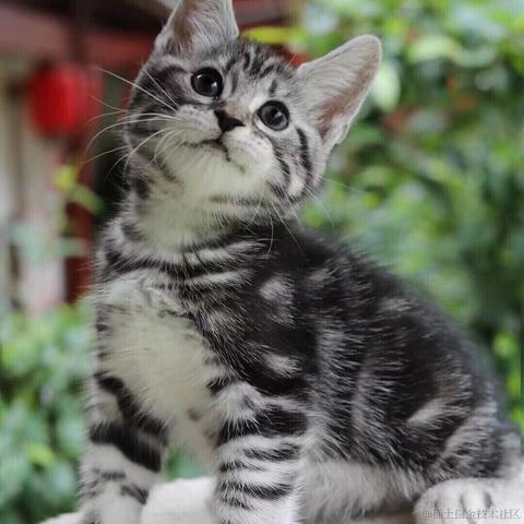 小旭小旭小而含蓄于2021-07-15 07:55发布的图片