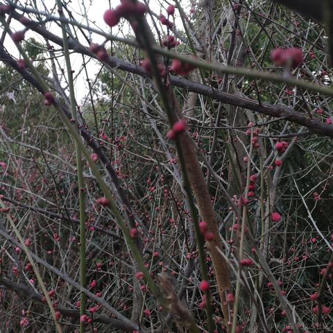 getify于2023-01-26 01:47发布的图片