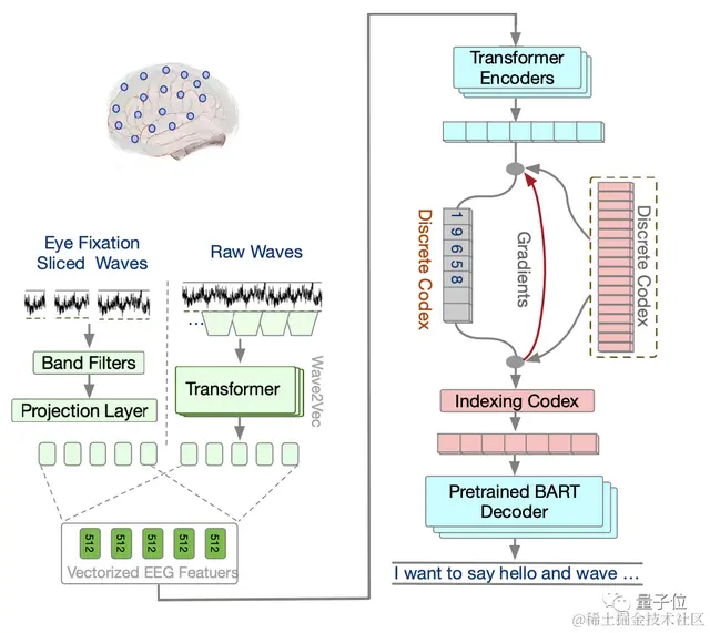 华人团队用大模型实现“读心术”：大脑活动直接变文字 | NeurIPS 2023