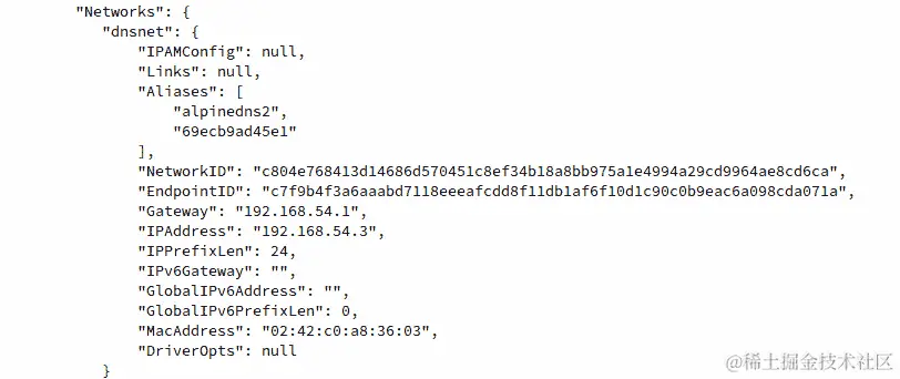 图 6.11：alpinedns2 容器实例的网络部分输出