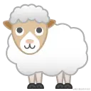 sheep