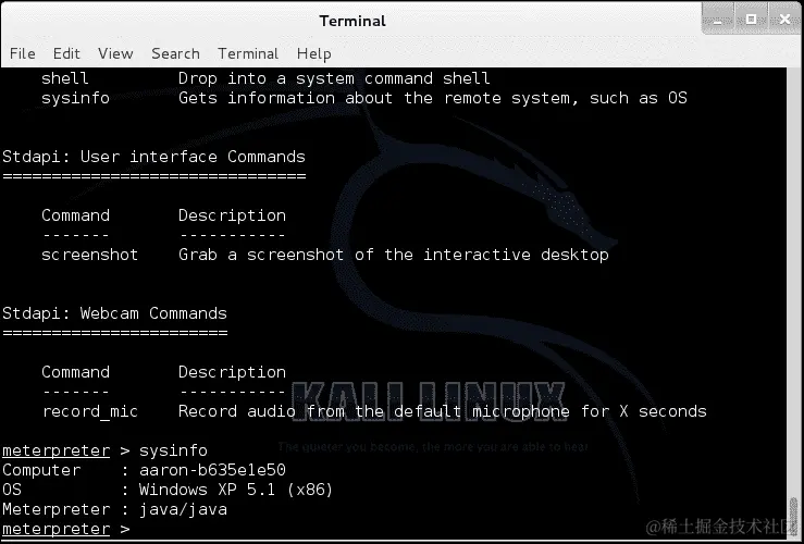 检测易受攻击的主机