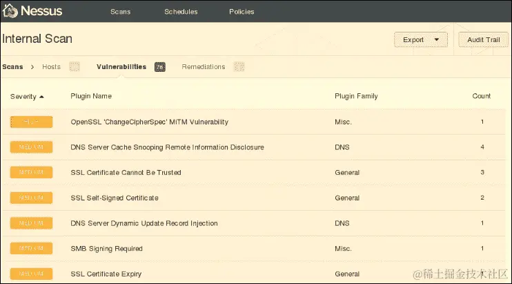 运行漏洞扫描器