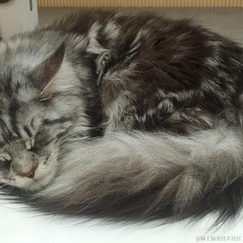 ntses于2023-04-29 10:54发布的图片