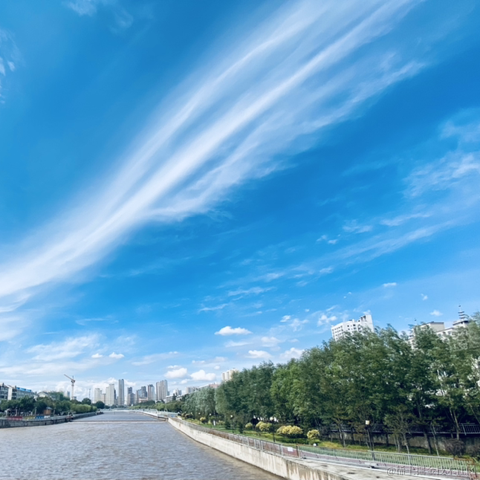 摄氏40度于2021-09-17 13:28发布的图片