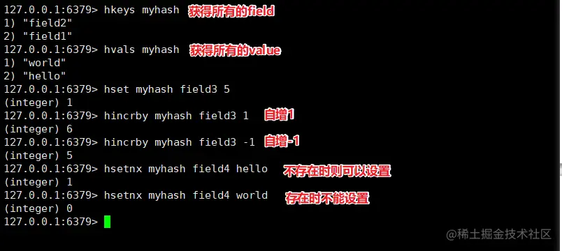 image-20200425143406171