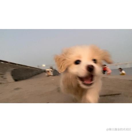 绝望鸭脖于2023-04-12 22:57发布的图片