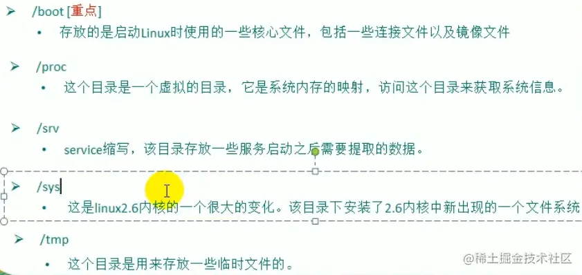 image-20220308163118973