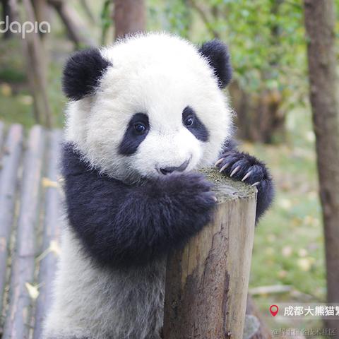 秉烛夜游于2021-09-30 09:06发布的图片