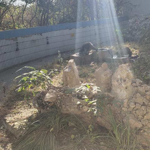 中国好公民st于2022-11-12 22:46发布的图片