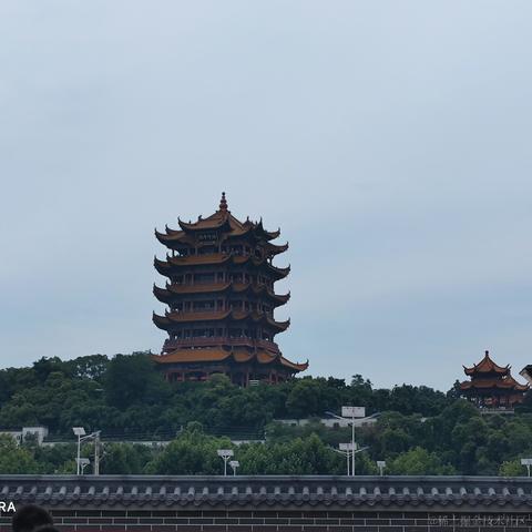 枝江第一深情于2023-07-02 14:31发布的图片