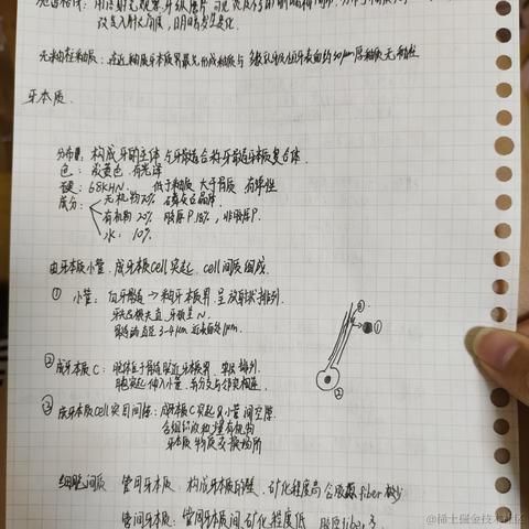 依古比古c于2022-09-13 21:15发布的图片