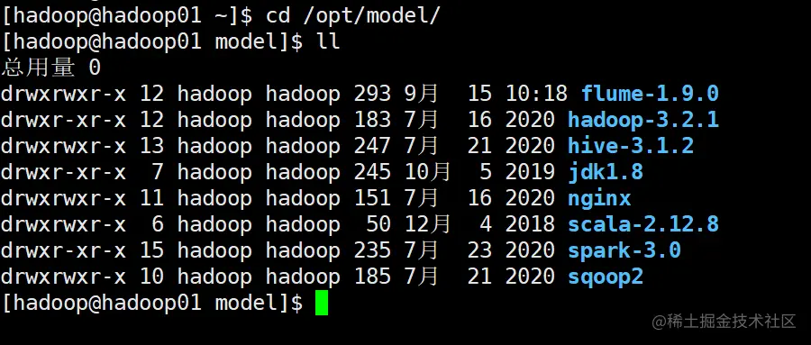 image-20210124134953595