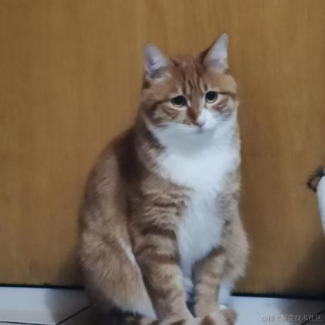 柒弎于2022-12-08 11:48发布的图片