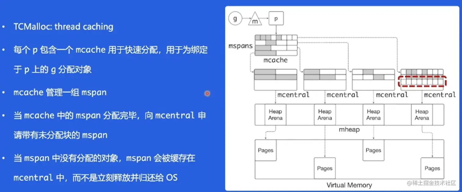 image-20230119114313458