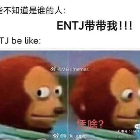 拉布拉多_于2023-05-31 15:17发布的图片