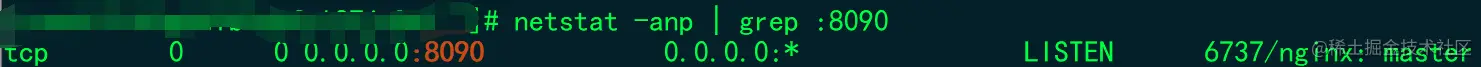 netstat -anp | grep :在Nginx上运行的端口