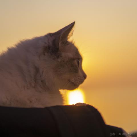 今天暴涨于2021-12-08 10:48发布的图片