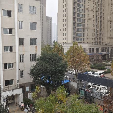 接受然然的爱于2022-11-29 09:59发布的图片