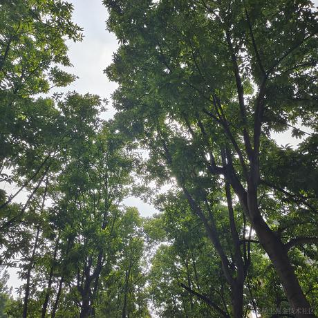 油炸豆腐于2022-11-13 02:37发布的图片