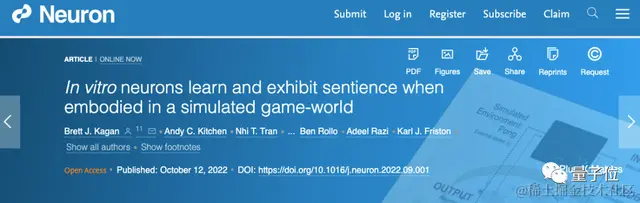 用活人脑细胞造AI系统！语音识别已成功，可无监督学习｜Nature子刊