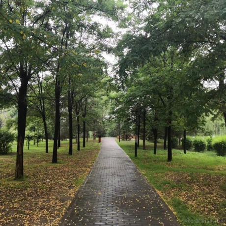 纸鸢纸年于2022-12-03 18:14发布的图片