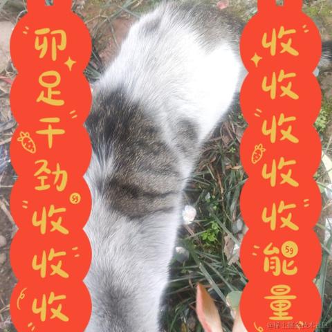 Coca_Cola于2023-01-23 19:53发布的图片