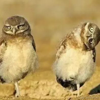 红裤衩丶于2023-06-13 09:47发布的图片