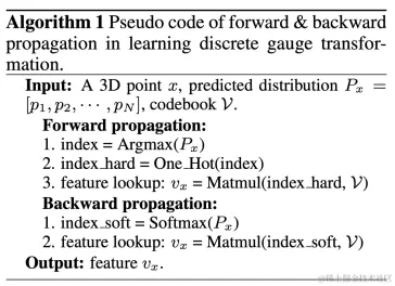 图五：离散规范变换学习中的正向/反向传播