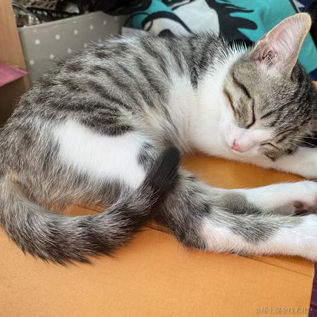 全栈HelloWorld打印师于2021-05-03 15:55发布的图片