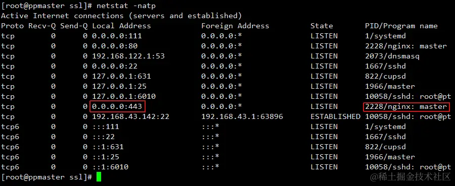 image-20220408142234357