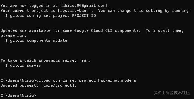 图 6. 设置您的项目 ID。
