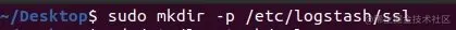创建一个ssl的目录