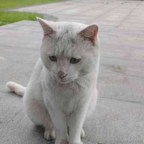 Willow_于2022-11-27 13:44发布的图片