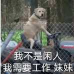 我在海洋里捡垃圾于2022-01-21 11:04发布的图片