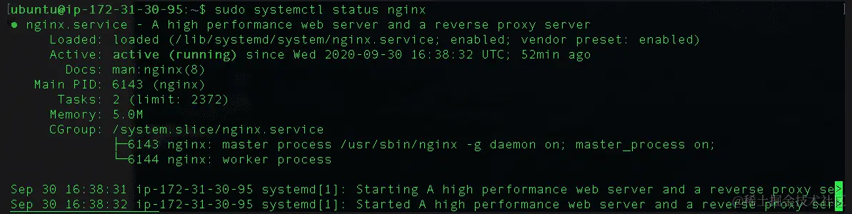 图 17.29 – NGINX 状态