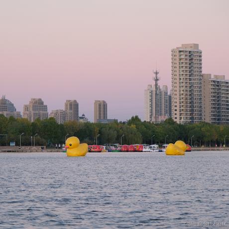 喜欢吃西瓜的老王于2022-06-14 22:39发布的图片