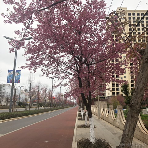 冬日暖阳一片云于2023-03-14 18:06发布的图片