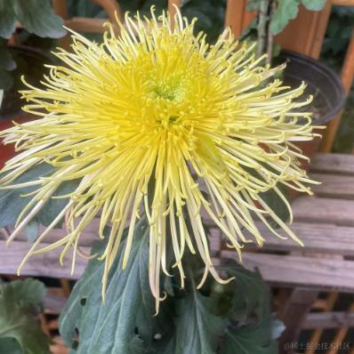 _山海于2023-11-30 19:21发布的图片