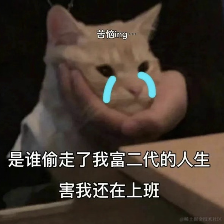 眉梢于2023-07-12 11:29发布的图片