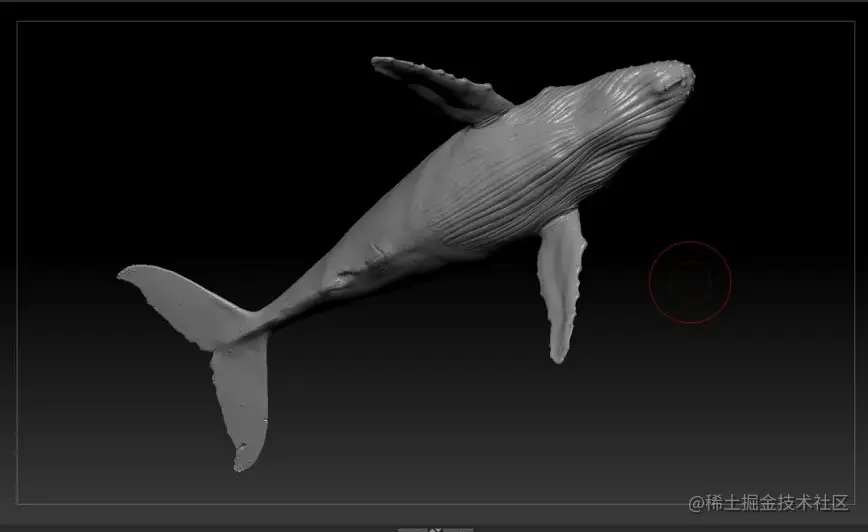 《Whale Rider》 - 瑞云渲染