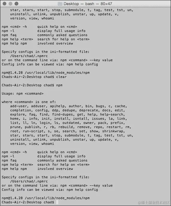 在终端中检查 NPM 安装