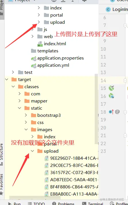 image-20220319193432367
