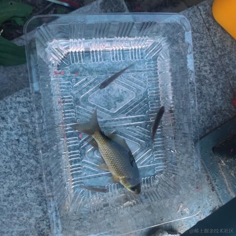 浅辄于2023-07-01 20:24发布的图片